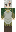 skin of a player