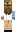 skin of a player
