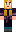 skin of a player