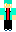 skin of a player