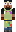 skin of a player