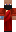 skin of a player