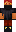 skin of a player