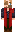 skin of a player