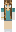 skin of a player