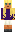 skin of a player