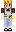 skin of a player