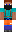 skin of a player