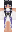 skin of a player