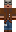 skin of a player