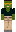 skin of a player
