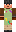 skin of a player