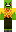 skin of a player