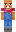 skin of a player