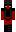 skin of a player