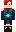 skin of a player