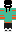 skin of a player