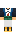 skin of a player