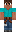 skin of a player