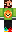 skin of a player