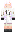 skin of a player