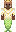 skin of a player