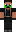 skin of a player