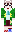 skin of a player