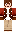 skin of a player