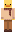 skin of a player