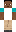 skin of a player