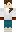 skin of a player