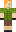 skin of a player
