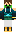 skin of a player