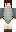skin of a player