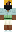 skin of a player