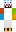 skin of a player