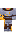 skin of a player