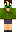 skin of a player