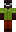 skin of a player