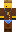 skin of a player