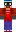 skin of a player