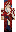 skin of a player