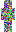 skin of a player