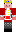 skin of a player