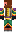 skin of a player