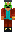 skin of a player