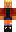 skin of a player