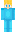 skin of a player