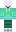skin of a player